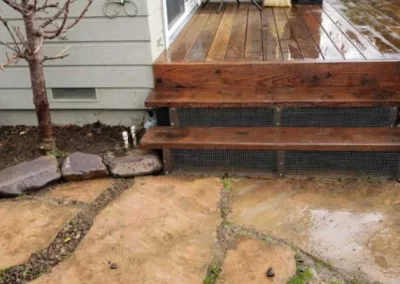 Pest Control Company