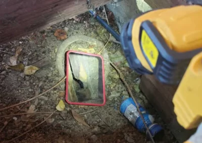 Pest Control Services (2)