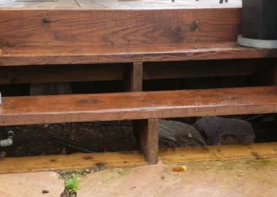 Pest Control Services (3)