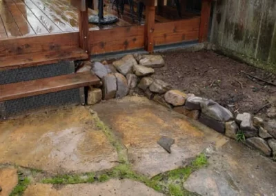 Pest Control Services (4)