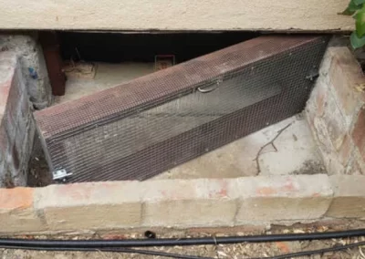 Pest Control Services